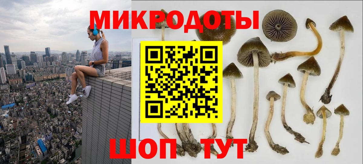 Новомосковск  Галлюциногенные грибы MAGIC MUSHROOMS  Вход с VPN 