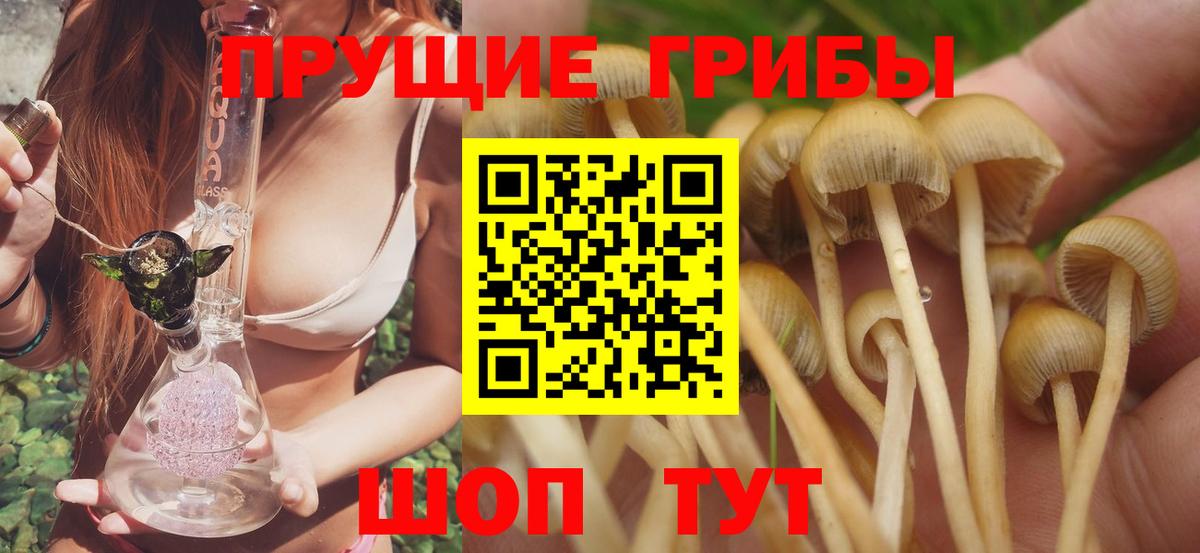 Псилоцибиновые грибы Magic Shrooms Новомосковск